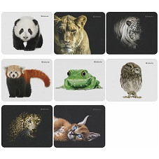 43306     Коврик для мыши DEFENDER Wild Animals 50803 (8видов)