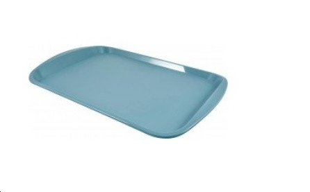 54415      Поднос пл. 47x33см Plast team <РТ9216ГО-20>