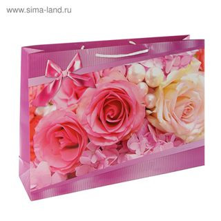 34434   Пакет подарочн.бумаж.с ручк.Kinda (38*53,5*13) 11-16-1099,1105