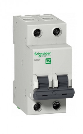 51446      Авт Выключатель Schneider  EASY 9 2П 20A "С" 4,5кА  <EZ9F34220>